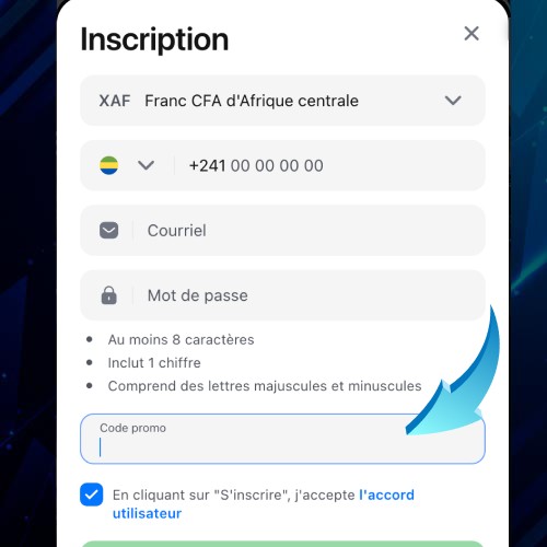 saisir le promo code