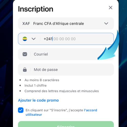 saisir les informations d'inscription